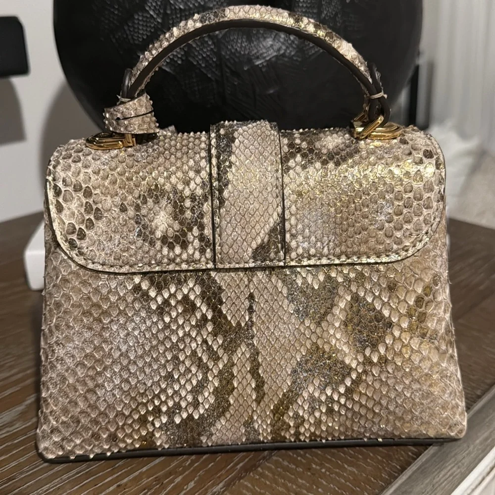 Louis Vuitton Exotic (python)collection - Picture 2 of 13